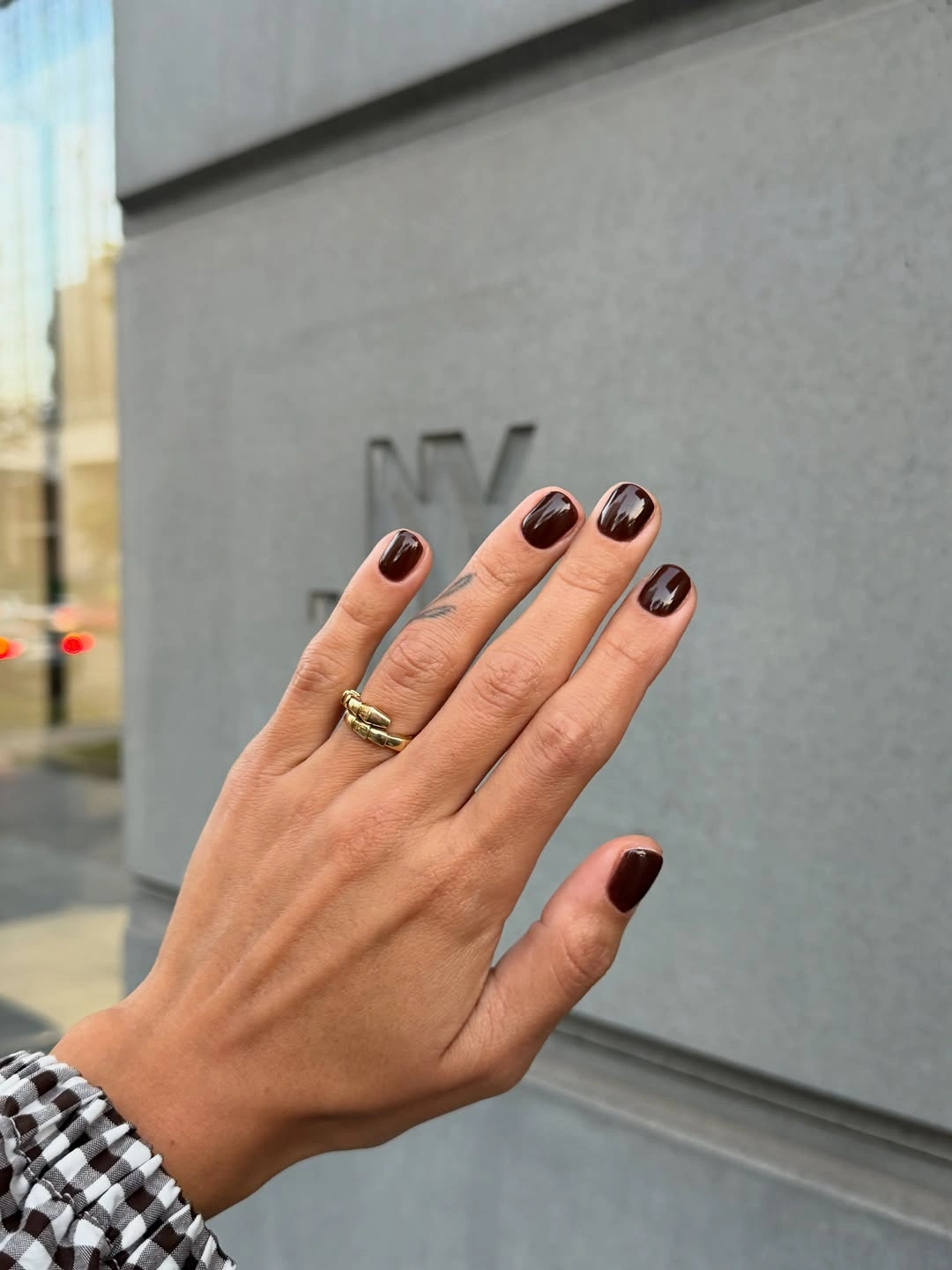 Short rounded square nails coated in dark wine burgundy polish